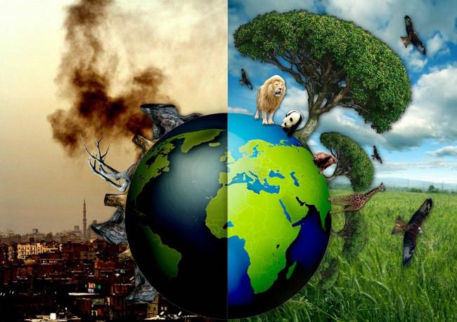 Environmental and Social Management Plan (ESMP)